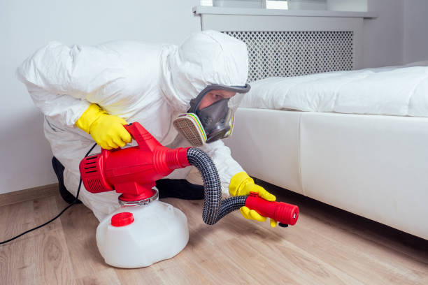 Best Local Pest Control Services  in Chickasha, OK