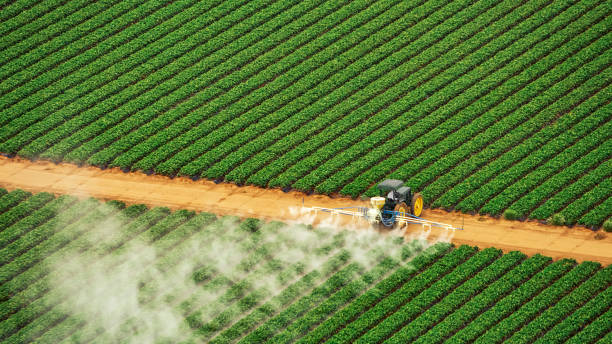 Best Pest Prevention Services  in Chickasha, OK