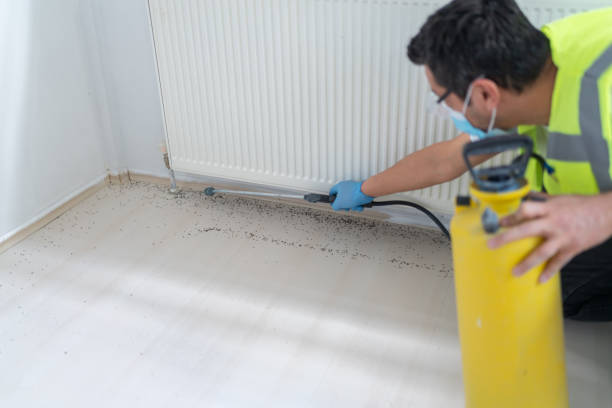 Best Pest Inspection Near Me  in Chickasha, OK